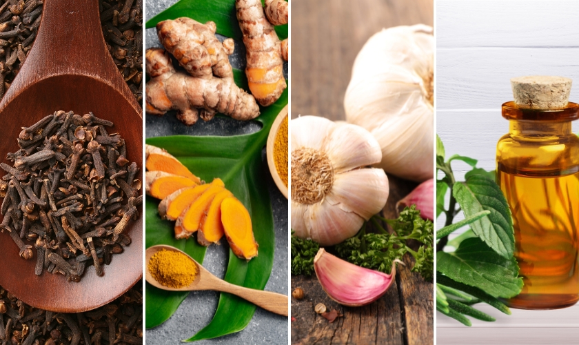 What Is The Strongest Natural Antibiotic For Tooth Infection?